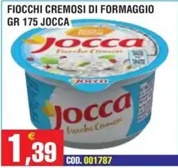 Immenso Cash Fiocchi cremosi di formaggio Jocca offerta
