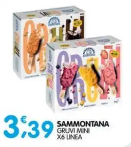 Le Delizie del Sud Sammontana Gruvi Mini offerta
