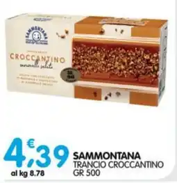 Le Delizie del Sud Sammontana trancio croccantino offerta