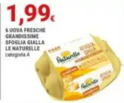 Doro Daily Uova fresche grandissime sfoglia gialla le naturelle offerta