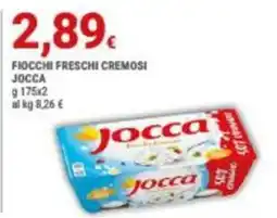 Doro Daily Fiocchi freschi cremosi Jocca offerta
