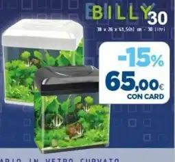 L´Isola dei Tesori Billy 30 offerta