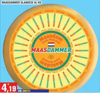 Immenso Cash Maasdammer olandese offerta