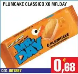 Immenso Cash Mr. Day Plumcake Classico offerta