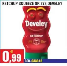 Immenso Cash Ketchup Develey offerta