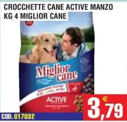 Immenso Cash Crocchette cane active manzo Miglior cane offerta