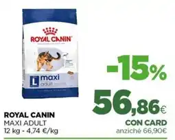 L´Isola dei Tesori Royal Canin Maxi Adult offerta