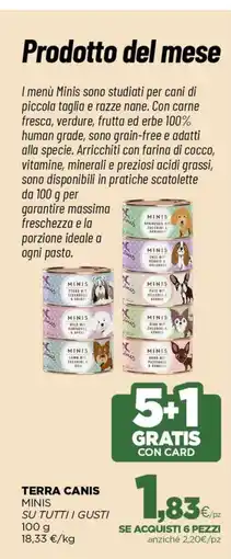 L´Isola dei Tesori Terra Canis Minis offerta