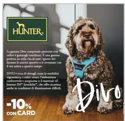 L´Isola dei Tesori Hunter Divo offerta