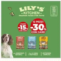 L´Isola dei Tesori Lily's Kitchen offerta
