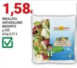 Doro Daily Insalata arco ba leno mio orto offerta