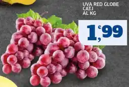 Ok Sigma Uva red globe offerta