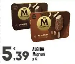 Punto é market Algida Magnum offerta