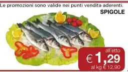 Coop Spigole offerta