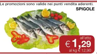 Coop Spigole offerta