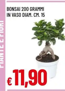 Famila Bonsai 200 grammi offerta