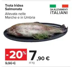 Carrefour Trota Iridea Salmonata offerta