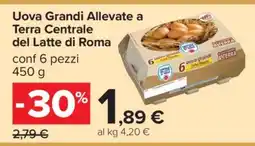 Carrefour Uova Grandi Allevate a Terra Centrale del Latte di Roma offerta