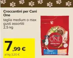 Carrefour Croccantini per Cani One offerta