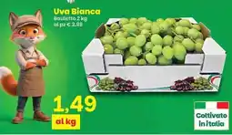 Prix Quality Uva Bianca offerta