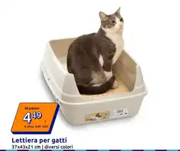 Action Lettiera per gatti offerta