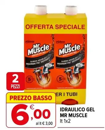 Idraulico Gel Mr Muscle