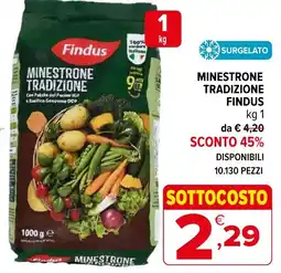 Iperal Minestrone tradizione Findus offerta