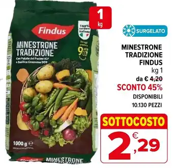 Iperal Minestrone tradizione Findus offerta