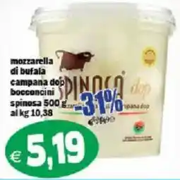 Il Castoro Supermercati Mozzarella di bufala campana dop bocconcini spinosa offerta