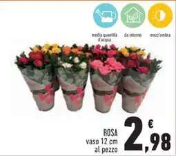 Conad Superstore Rosa offerta