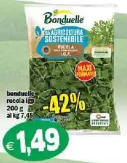 Il Castoro Supermercati Bonduelle rucola igp offerta