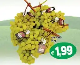Il Castoro Supermercati uva italia offerta