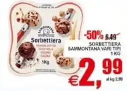 Pewex Sorbettiera Sammontana vari tipi offerta