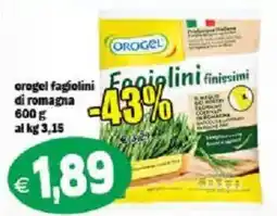 Il Castoro Supermercati Orogel fagiolini di romagna offerta