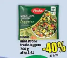 Il Castoro Supermercati Findus minestrone tradiz.leggero offerta