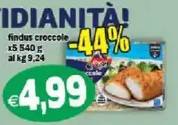 Il Castoro Supermercati findus crocchette offerta