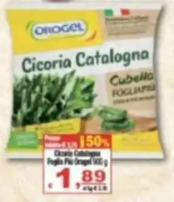 CTS Supermercati Cicoria Catalogna Foglia Piu Orogel offerta
