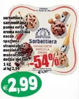 Il Castoro Supermercati Sorbettiera Sammontana offerta