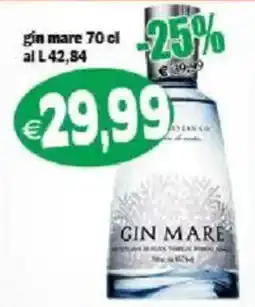 Il Castoro Supermercati Gin Mare offerta