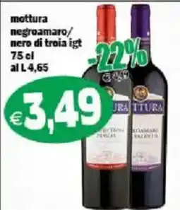 Il Castoro Supermercati Mottura negroamaro/nero di troia igt offerta