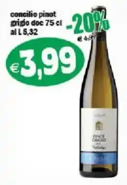 Il Castoro Supermercati concilio pinot grigio doc offerta