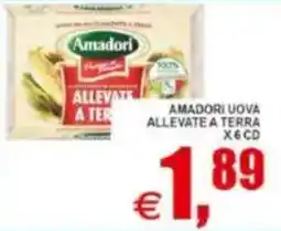 Pewex Amadori uova allevate a terra offerta