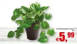 Pewex Photos basket vaso offerta