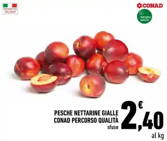 Pesche nettarine gialle Conad percorso qualità