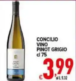 Iper Triscount Concilio vino pinot grigio offerta