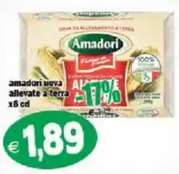 Il Castoro Supermercati Amadori uova allevate a terra offerta
