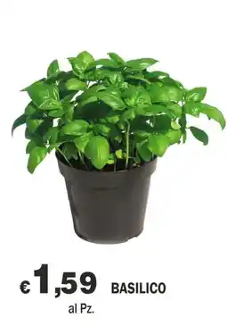 Primo Prezzo Basilico offerta