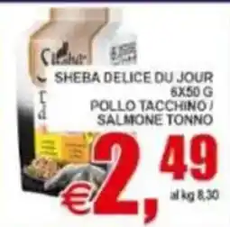 Pewex Sheba Delice du Jour offerta