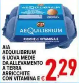 Iper Triscount AIA AEQUILIBRIUM 6 UOVA MEDIE offerta