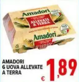 Iper Triscount Amadori 6 uova allevate a terra offerta